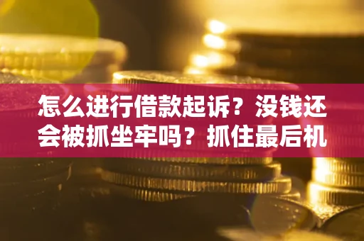 济南怎么进行借款起诉？没钱还会被抓坐牢吗？抓住最后机会！