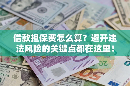 济南借款担保费怎么算？避开违法风险的关键点都在这里！