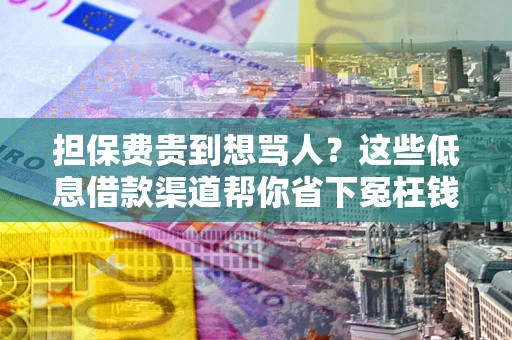 济南担保费贵到想骂人？这些低息借款渠道帮你省下冤枉钱
