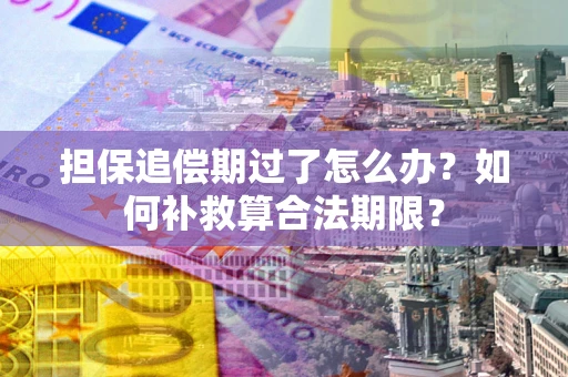 济南担保追偿期过了怎么办？如何补救算合法期限？