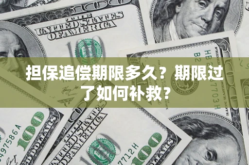 济南担保追偿期限多久？期限过了如何补救？
