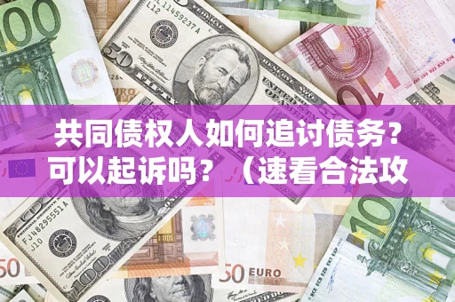 济南共同债权人如何追讨债务？可以起诉吗？（速看合法攻略）
