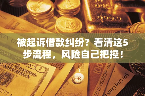 济南被起诉借款纠纷？看清这5步流程，风险自己把控！